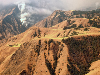 Douglas-fir Tussock Moth infestation in Hells Canyon - 1973